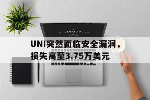 UNI突然面临安全漏洞，损失高至3.75万美元